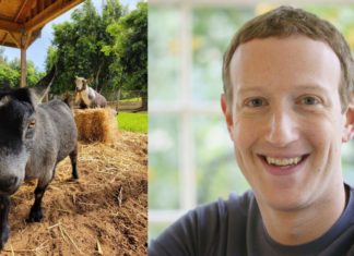 Mark Zuckerberg names goat Bitcoin, creates controversy