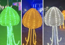 ECOBANK, others light up Accra for Christmas