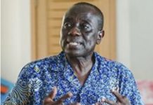 Pan African Heritage Museum gets interim CEO