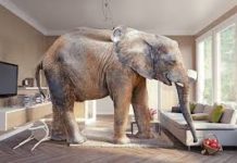 Elephant in the room: The ETHICS of a Regulator joining an Operator