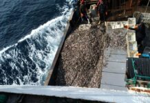 Illegal fishing in Ghana: Abuse, corruption, death on Chinese vessels