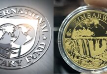 IMF warns Zimbabwe on gold-backed digital token
