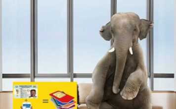 Elephant in the room: Fraudulent SIM cards still active in the system