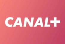 Canal+ raises MultiChoice offer price by 19%