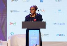Telecel Ghana calls for bold actions on cross-border mobile money interoperability