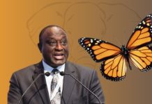 Alan Kyerematen creates Digital Platform for 3 million jobs