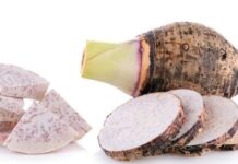 KNUST researchers develop high-performance batteries from taro/brobe peels