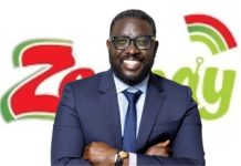 Zeepay Saga: Did Zeepay CEO use a personal MTN wallet for company transactions?