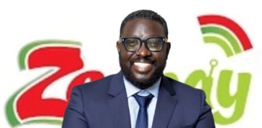 Zeepay Saga: Did CEO use a personal MTN wallet for company transactions?