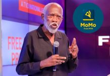 MTN will hold Ghana to ransom one day if left unchecked – Prof. Adei