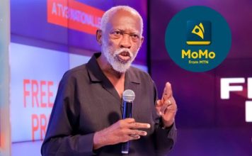 MTN will hold Ghana to ransom one day if left unchecked – Prof. Adei