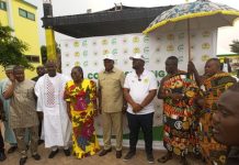 DVLA to open six overseas offices to combat fake Ghanaian licences abroad