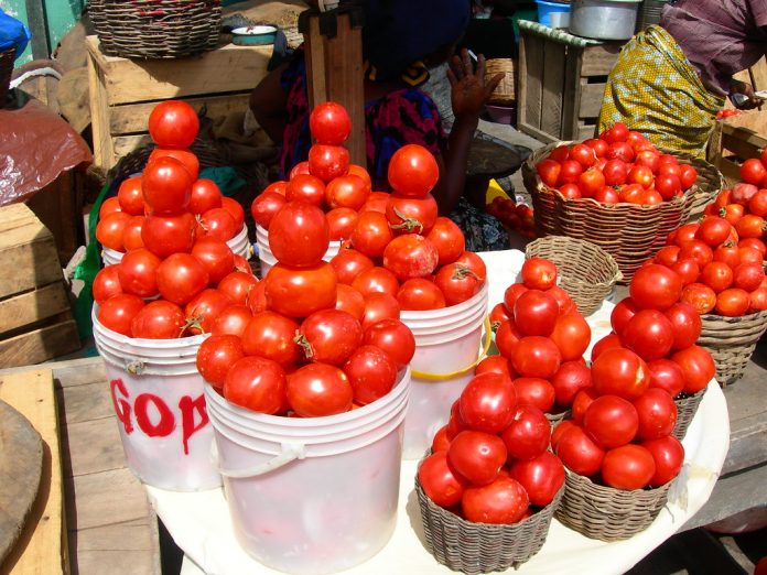 Tomatoes