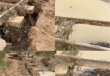 Efo Small Writes: Galamsey, Ants Colony and Our National Collapse