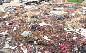 GH¢3.1m worth of onions rot at Adjen Kotoku market