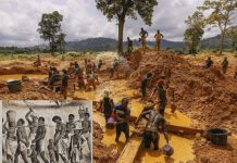 From Shackles to Mercury: How Galamsey Mirrors and May Exceed the Devastation of the Transatlantic Slave Trade
