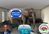 Elephant in the room: NGIC’s 5G announcement and matters arising