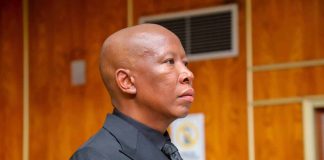 Malema sentenced to five years in prison 