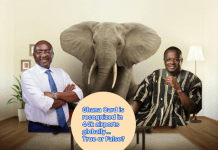 Elephant in the room: Are both Dr. Bawumia and Yayra Koku LIARS or TRUTHFUL?