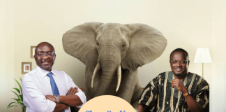 Elephant in the room: Are both Dr. Bawumia and Yayra Koku LIARS or TRUTHFUL?