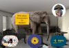 Elephant in the room: Wallet to account transfer fees, who should pay – consumers or banks?