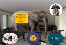 Elephant in the room: Wallet to account transfer fees, who should pay – consumers or banks?