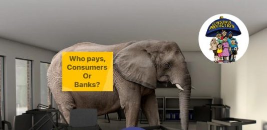 Elephant in the room: Wallet to account transfer fees, who should pay – consumers or banks?