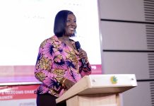 Fibre cuts surge to 8,000 annually, straining Ghana’s telecom investments – Chamber CEO