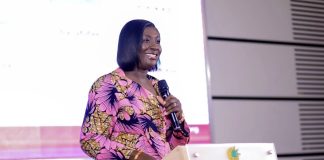 Fibre cuts surge to 8,000 annually, straining Ghana’s telecom investments – Chamber CEO