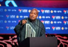 Okudzeto-Ablakwa condemns xenophobic attacks on Africans in South Africa