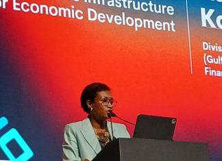 Ghana’s digital system transformation hinges on integration, not fragmentation – IFC Director