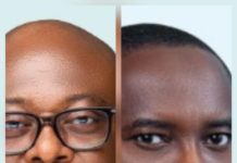 GhIPSS strengthens leadership with CTIO and Chief Advisor Appointments