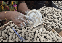 Toxic metals found in ‘shire’ or ‘shire’ sold in Kumasi markets – CSIR study