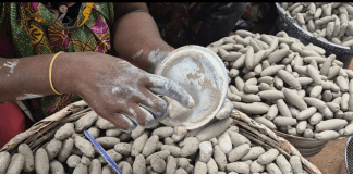 Toxic metals found in ‘shire’ or ‘shire’ sold in Kumasi markets – CSIR study