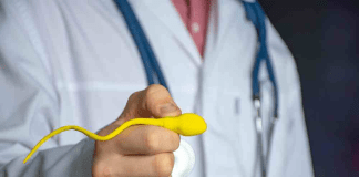 New AI technology detects ‘hidden sperm’ in men deemed infertile