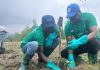 Ecobank Ghana plants 2,000 trees to deepen environmental sustainability drive