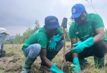 Ecobank Ghana plants 2,000 trees to deepen environmental sustainability drive