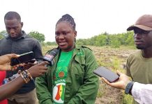 Tema-Ada Forestry targets 30 million trees as 22 hectares already restored under Tree for Life Drive