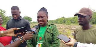 Tema-Ada Forestry targets 30 million trees as 22 hectares already restored under Tree for Life Drive