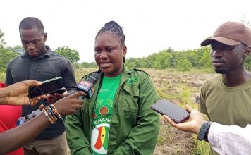 Tema-Ada Forestry targets 30 million trees as 22 hectares already restored under Tree for Life Drive