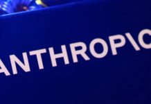 Anthropic cracks down on unauthorised access to AI services from China