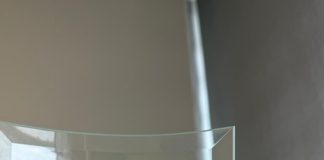 Ghanaian optometrist wins top innovation award at University of Houston summer health research programme