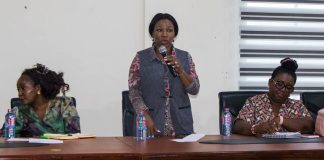 Deputy Health Minister engages Central Region health directors on maternal mortality response