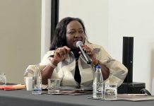 AfricaNenda, AU crafting framework for seamless continental cross-border payments in Africa