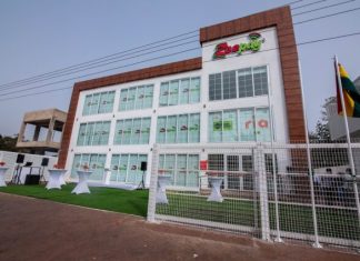 Digital Chamber of Ghana backs BoG’s Zeepay decision, urges public to remain calm
