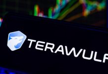 TeraWulf shares jump 20% after Anthropic AI campus deal, Fluidstack stake sale