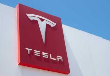 Tesla shares fall after profit miss despite strong revenue growth and record deliveries