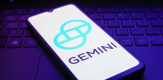 Gemini widens second-quarter loss as credit card fraud provision weighs on results