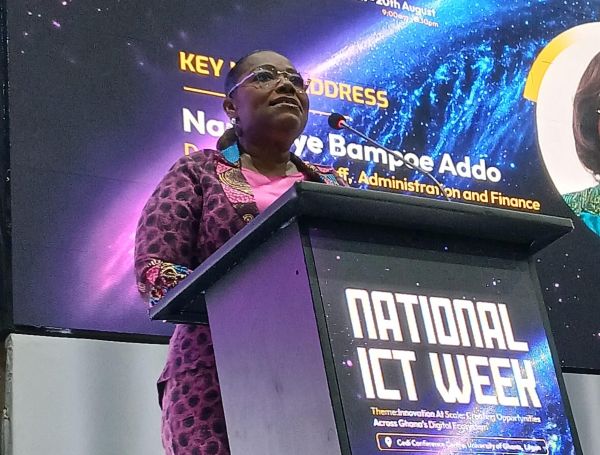 Deputy Chief of Staff for Administration and Finance, Nana Oye Bampoe Addo