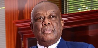 Ambassador Victor Smith honoured at Millennium Excellence Awards